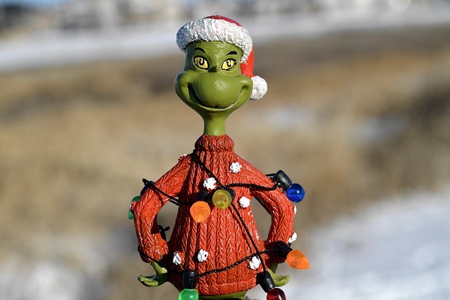Pics with the Grinch Lead to (Legal) Coal in Photographers’ Stockings
